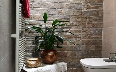 BAÑOS CON FENG SHUI