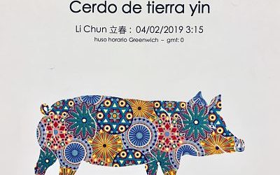 2019 AÑO DEL CERDO DE TIERRA YIN JI HAI