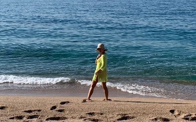 AGOSTO 2019