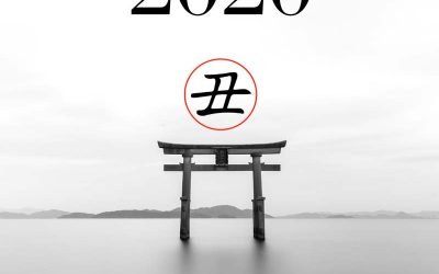 ENERO 2020